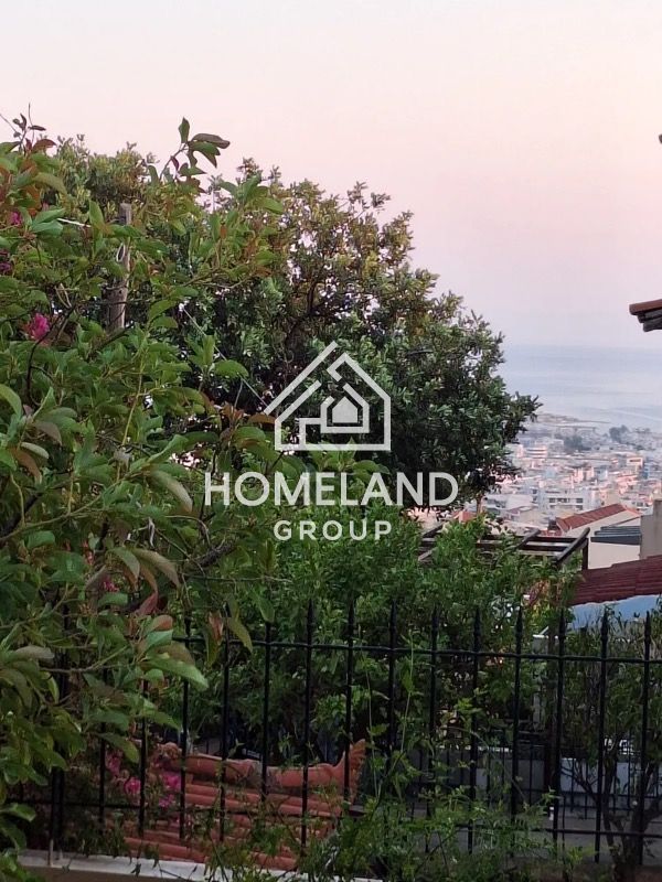 homelandgroup real estate agency