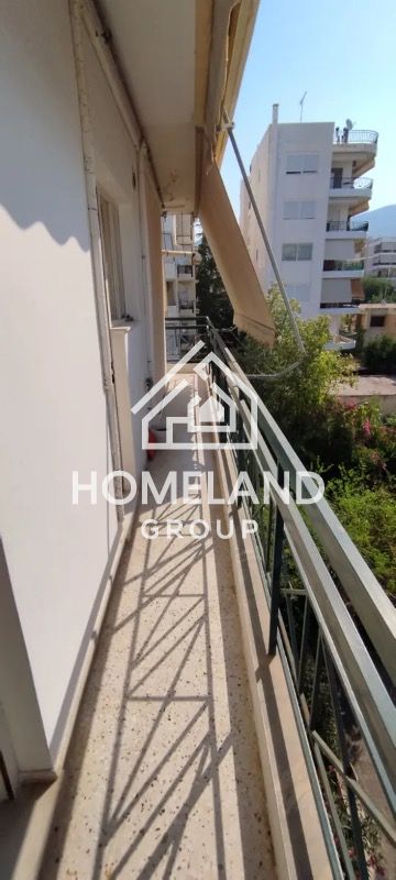 homelandgroup real estate agency