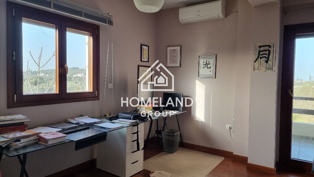 homelandgroup real estate agency