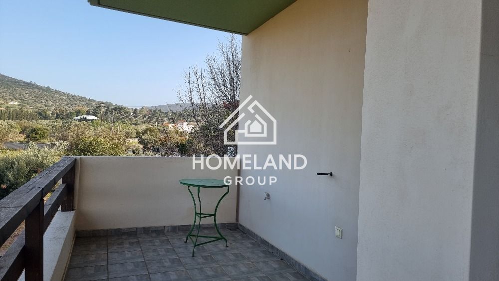 homelandgroup real estate agency