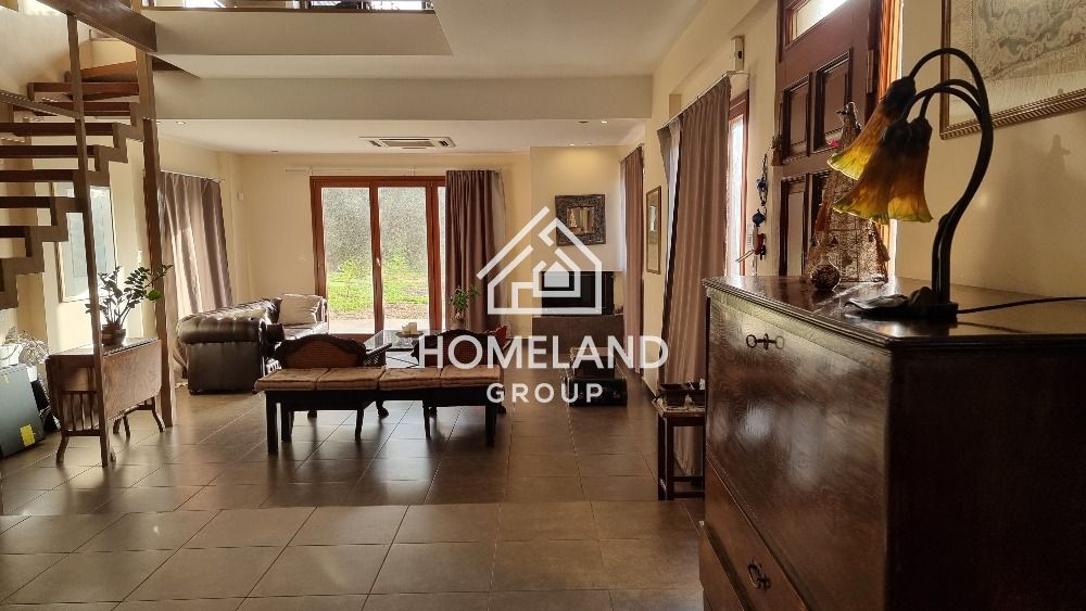 homelandgroup real estate agency