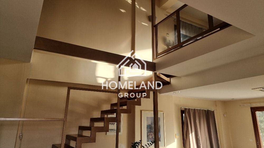homelandgroup real estate agency