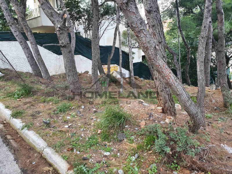 homelandgroup real estate agency