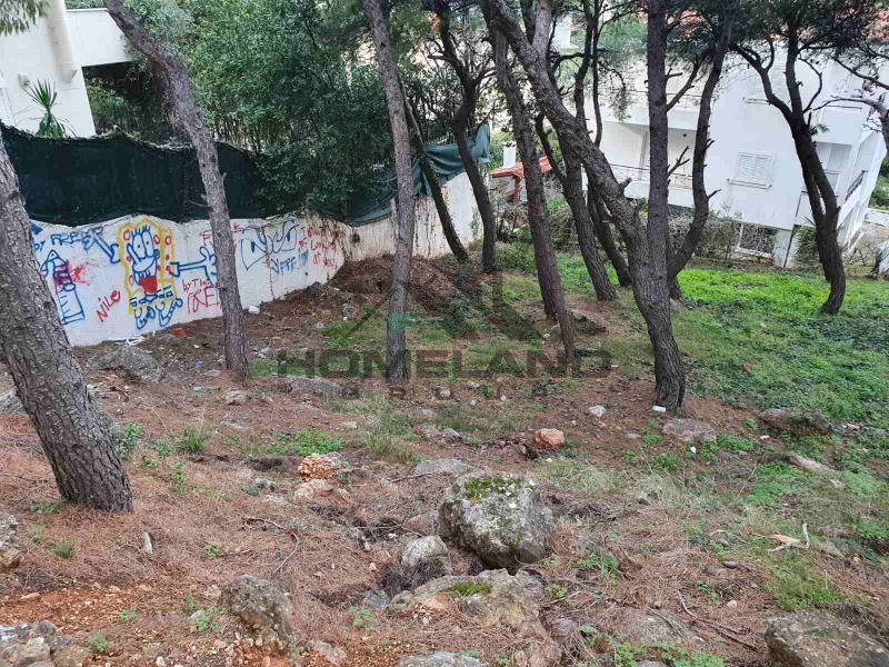 homelandgroup real estate agency