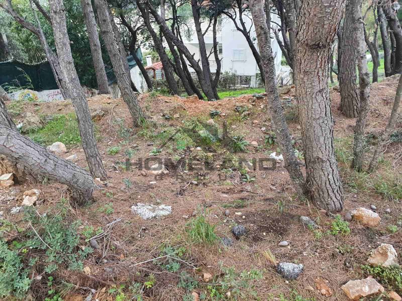 homelandgroup real estate agency