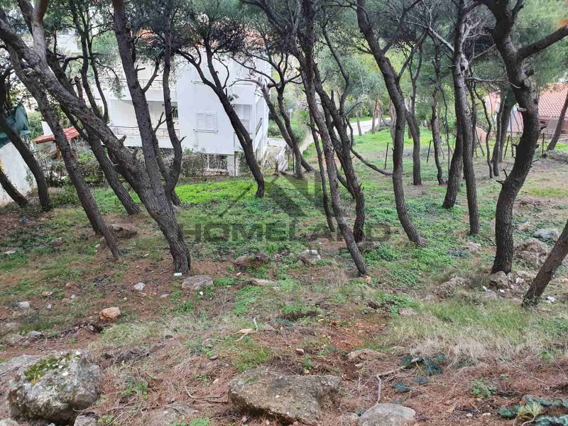 homelandgroup real estate agency