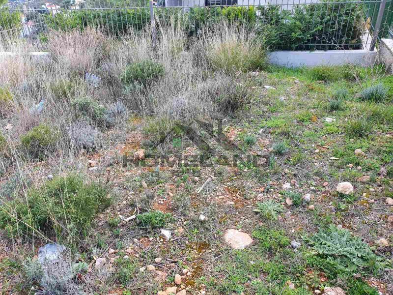 homelandgroup real estate agency