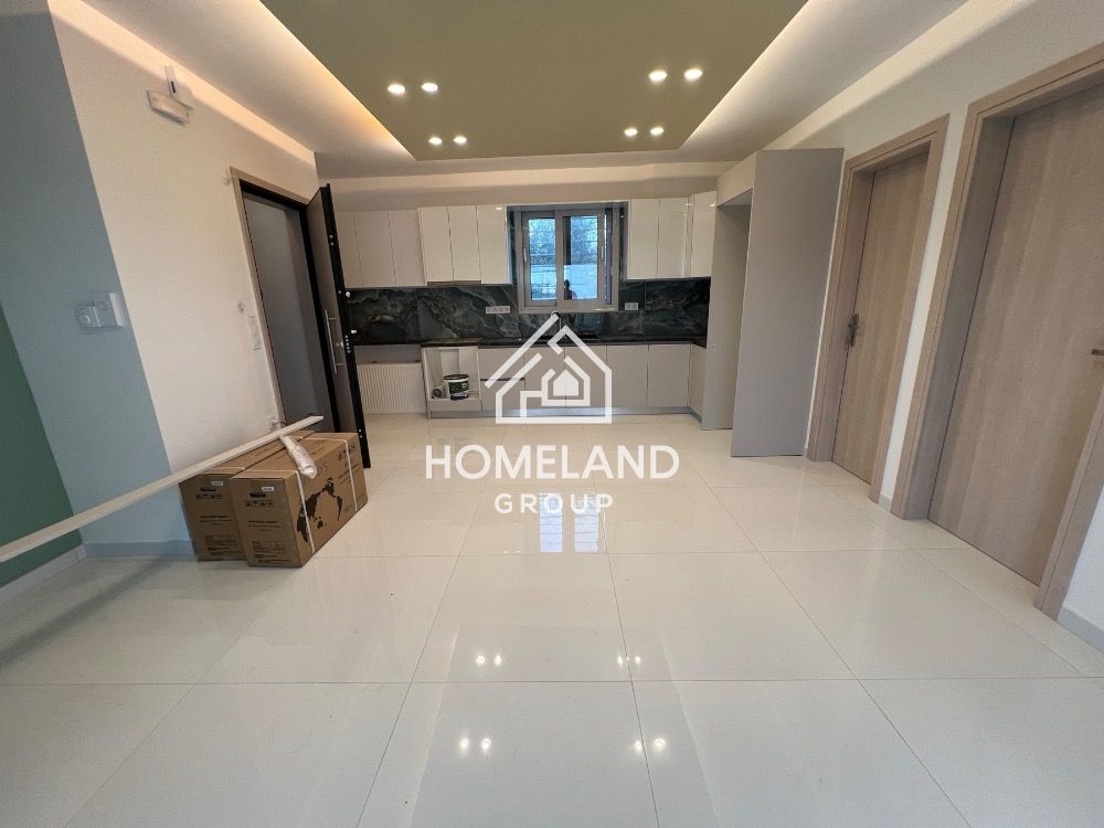 homelandgroup real estate agency