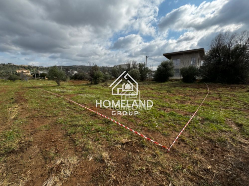 homelandgroup real estate agency