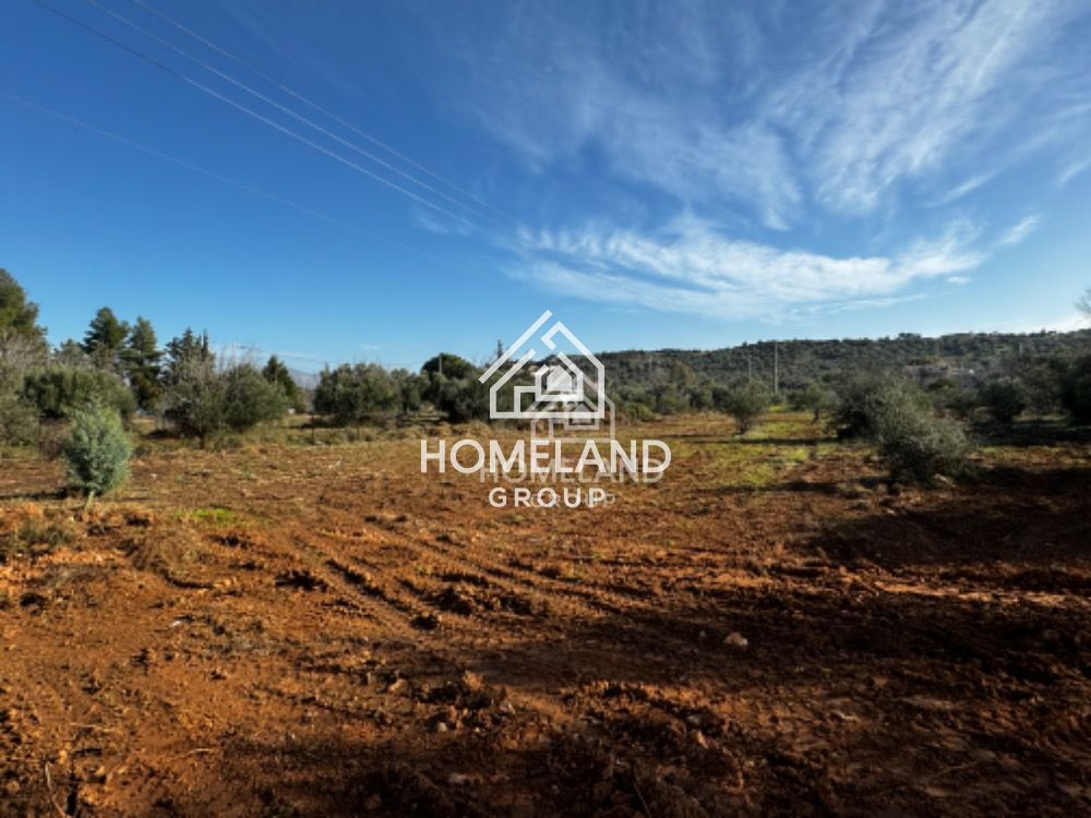 homelandgroup real estate agency