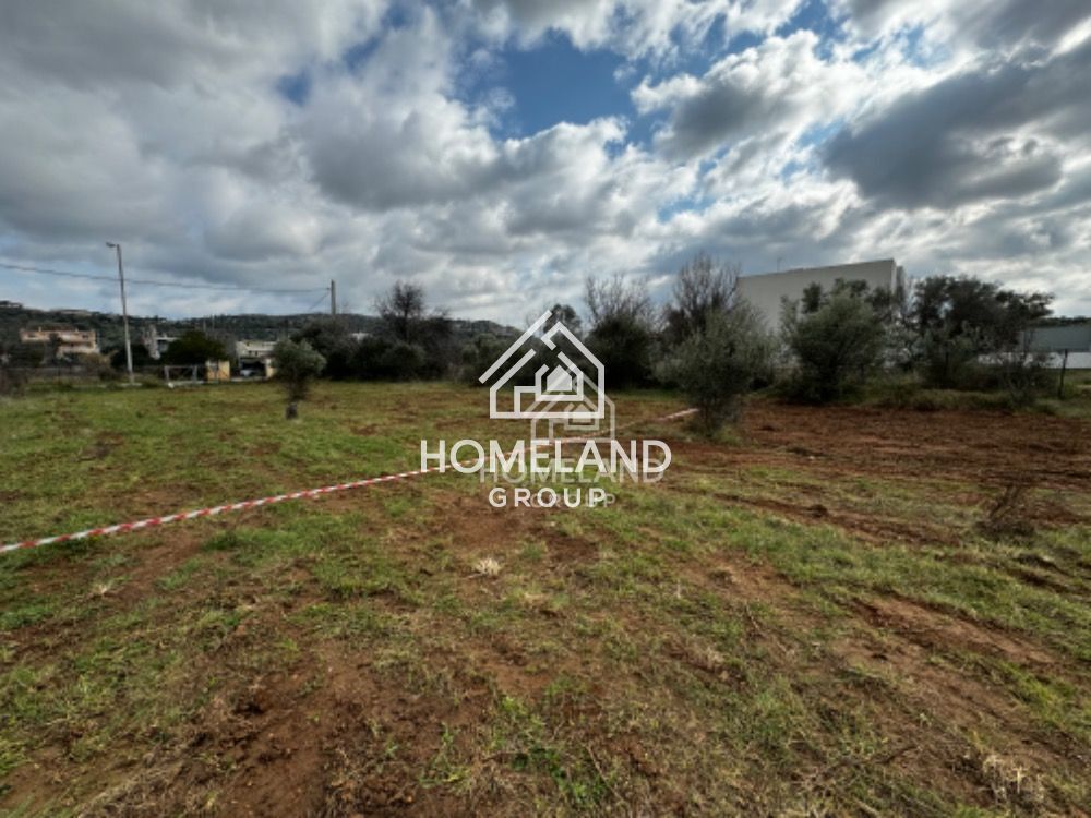 homelandgroup real estate agency