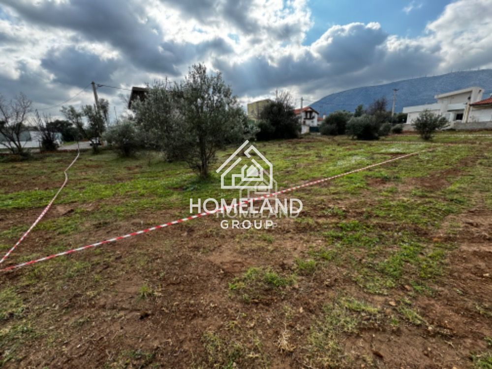 homelandgroup real estate agency