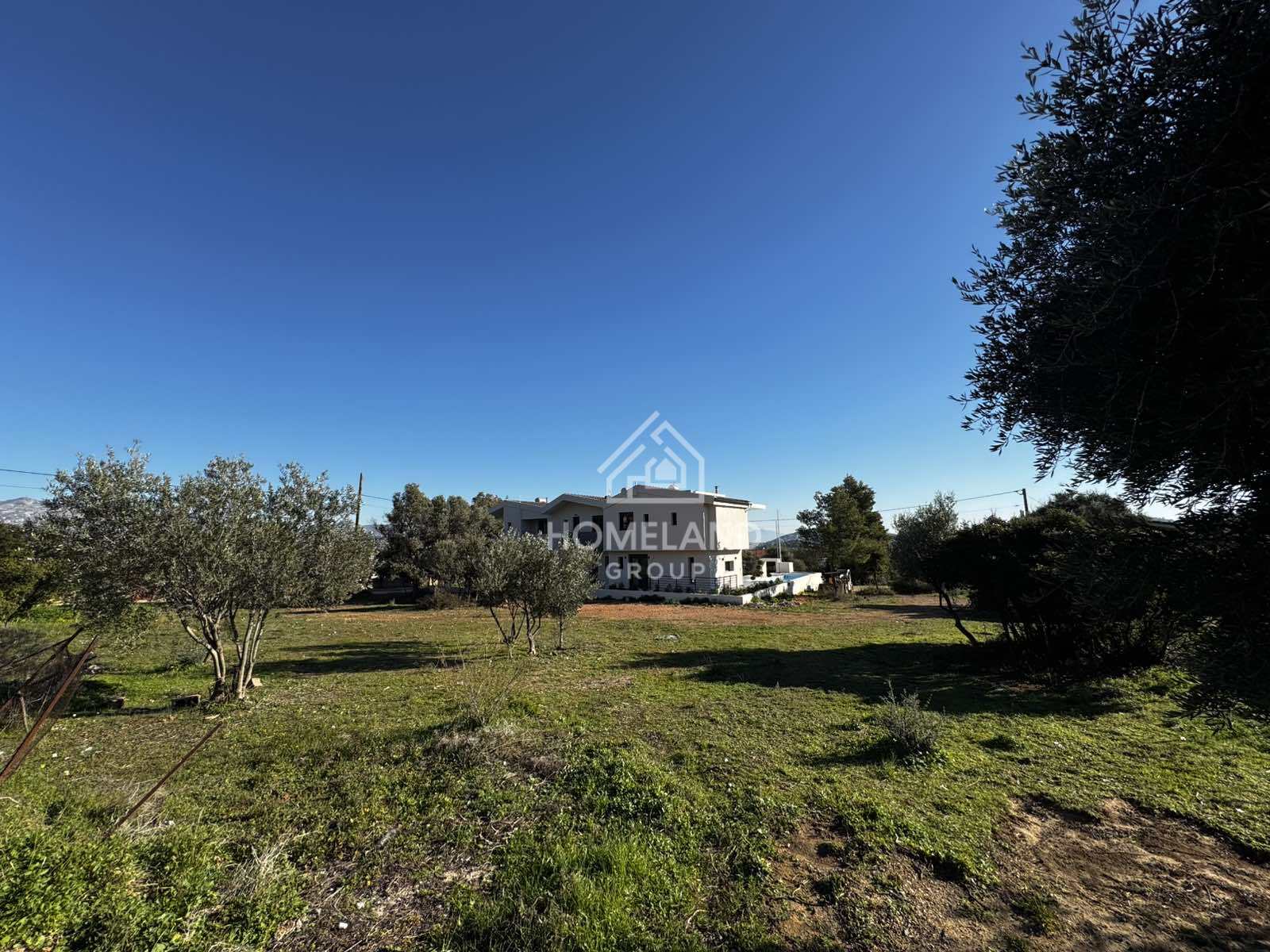 homelandgroup real estate agency