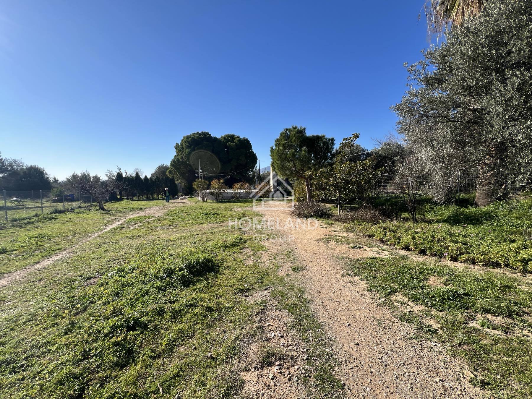 homelandgroup real estate agency