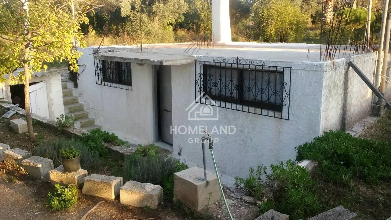 homelandgroup real estate agency