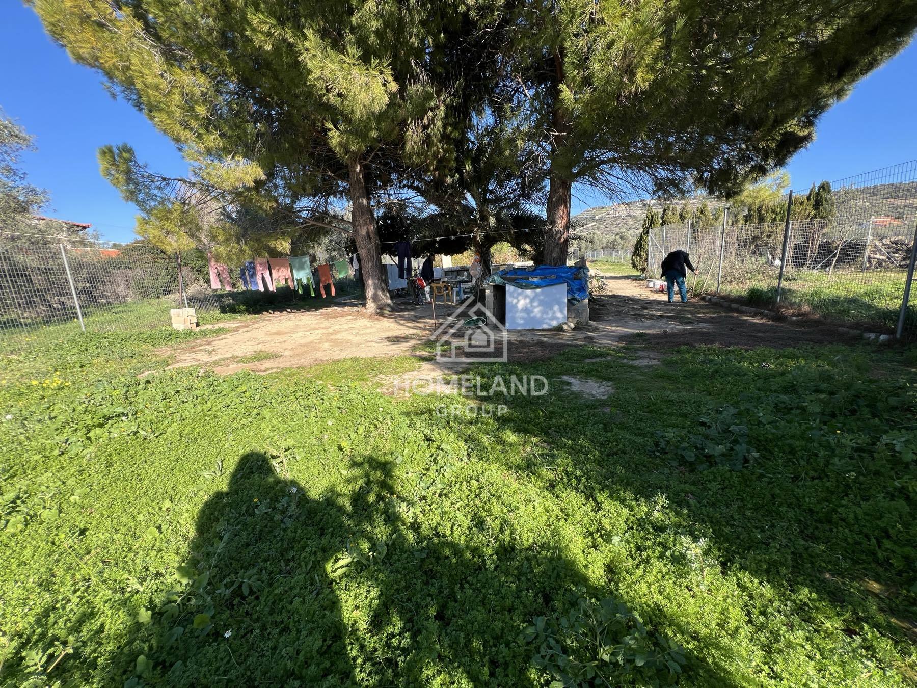 homelandgroup real estate agency