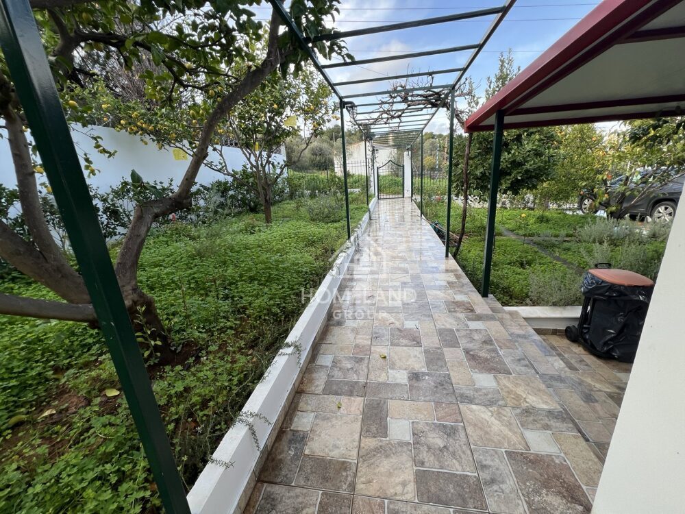 homelandgroup real estate agency