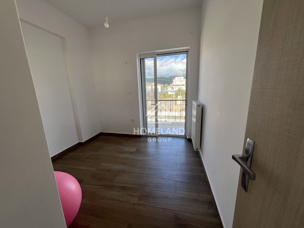 homelandgroup real estate agency