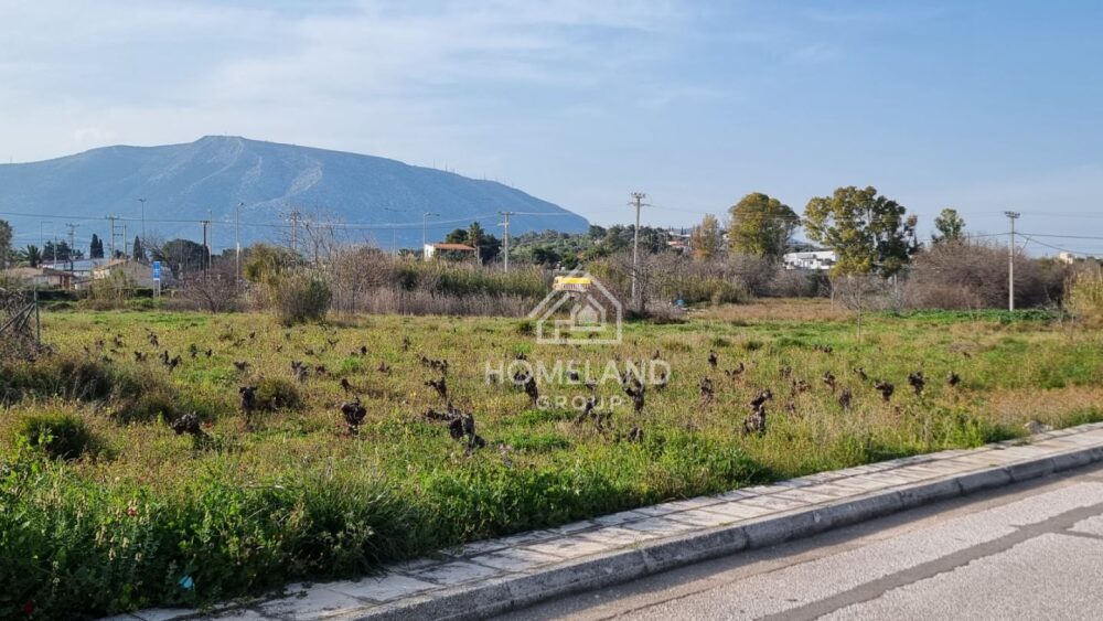 (for sale) Land Plot || Athens east suburbs / Koropi - 328.9sq.m, 80.000€
