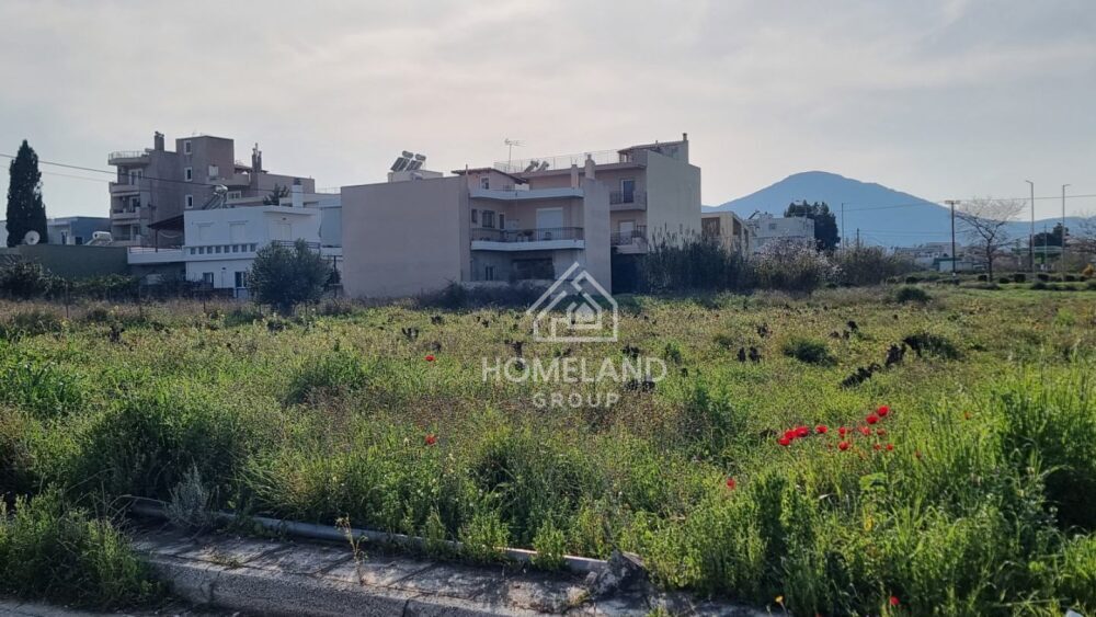 homelandgroup real estate agency