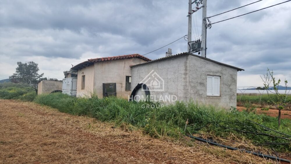 (for sale) Land Land outside city plan || Athens east suburbs / Koropi - 7769.0sq.m, 200.000€