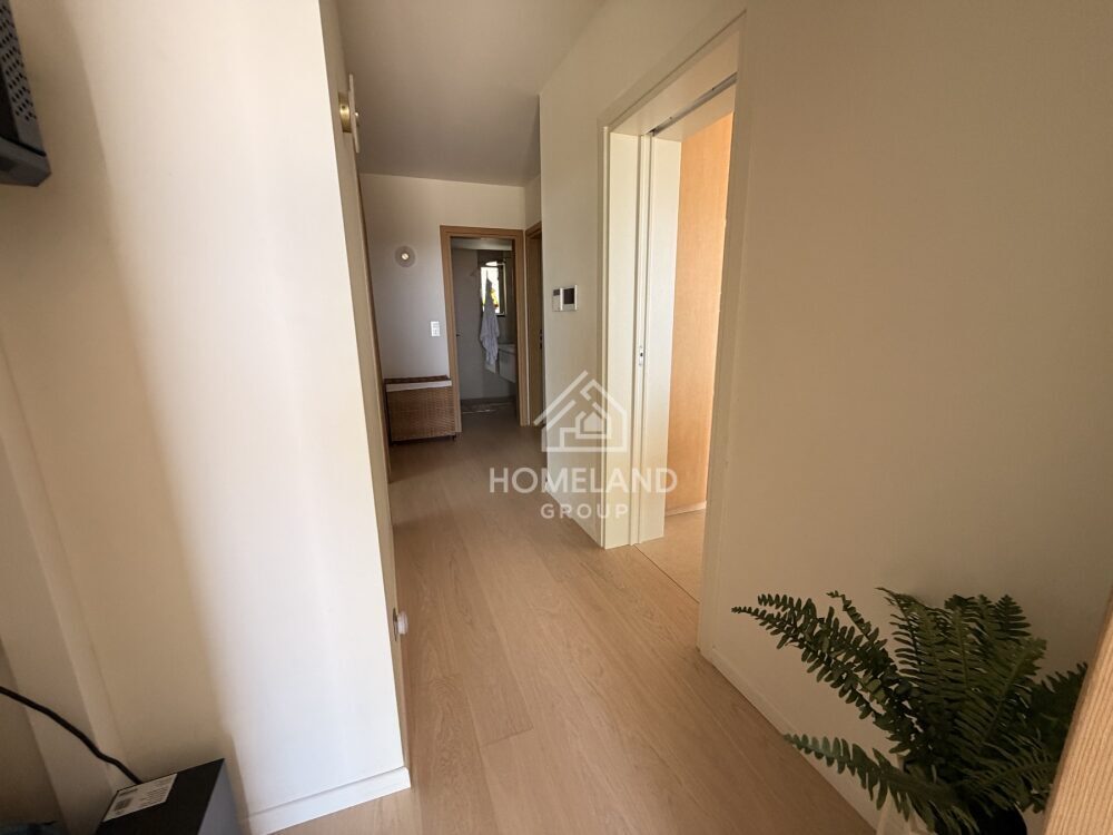 homelandgroup real estate agency