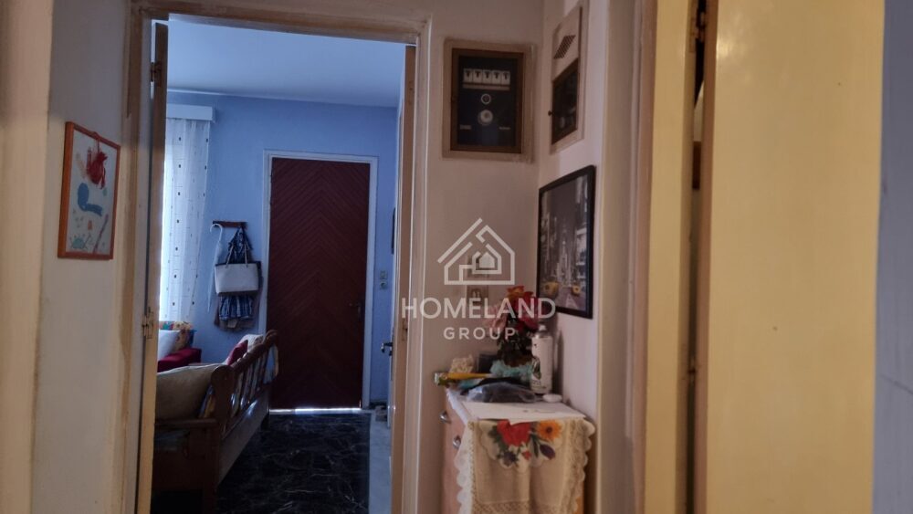 homelandgroup real estate agency