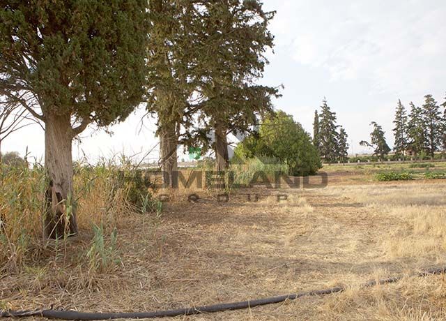 homelandgroup real estate agency