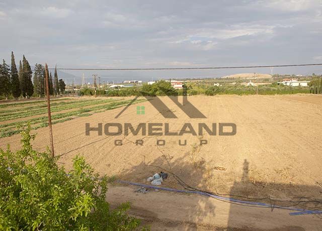 homelandgroup real estate agency