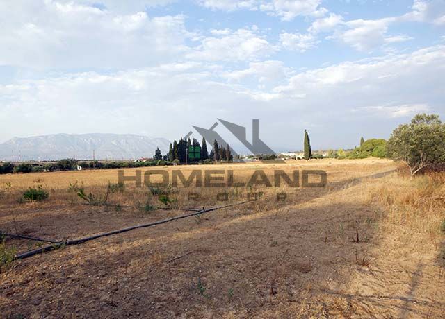 homelandgroup real estate agency