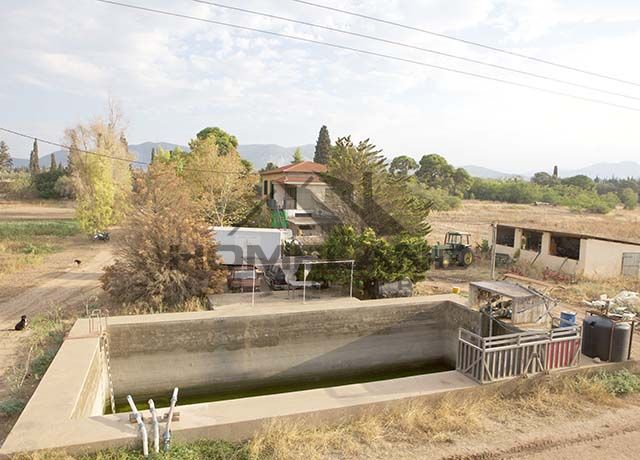 homelandgroup real estate agency