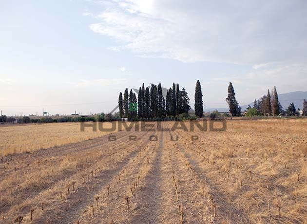 homelandgroup real estate agency