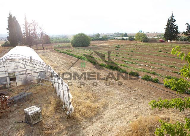 homelandgroup real estate agency