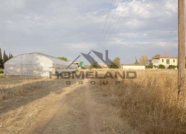 homelandgroup real estate agency