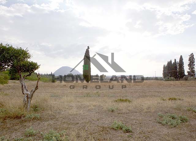 homelandgroup real estate agency