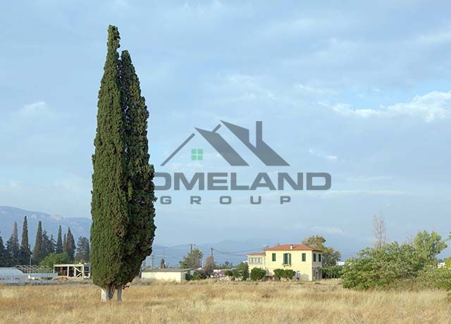 homelandgroup real estate agency