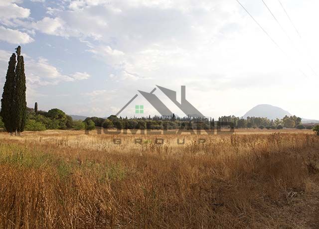 homelandgroup real estate agency