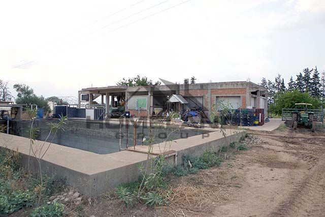 homelandgroup real estate agency