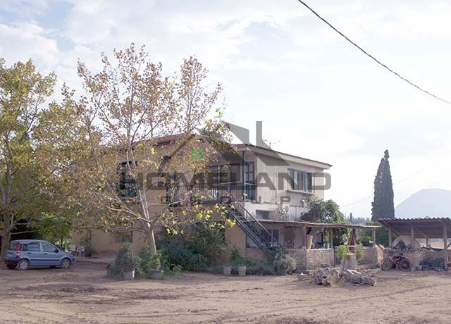 homelandgroup real estate agency