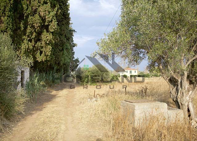 homelandgroup real estate agency