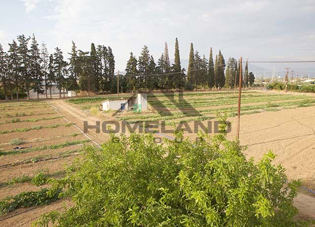 homelandgroup real estate agency