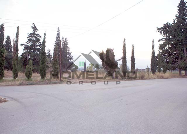 homelandgroup real estate agency