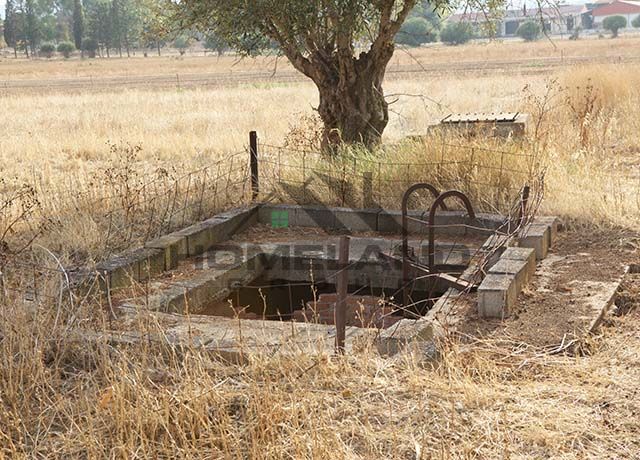 homelandgroup real estate agency