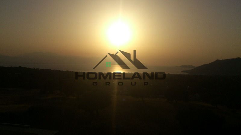 homelandgroup real estate agency