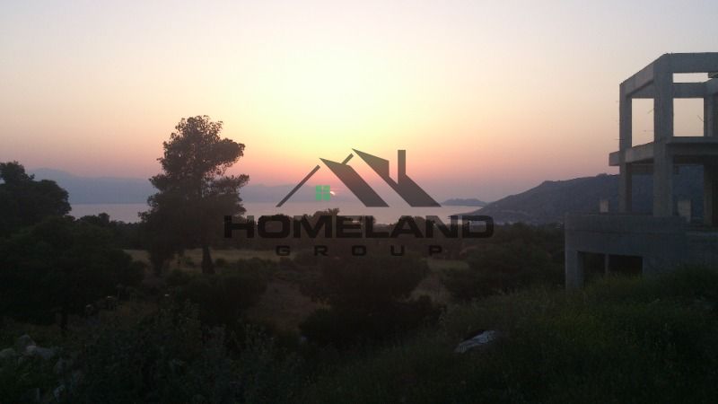 homelandgroup real estate agency
