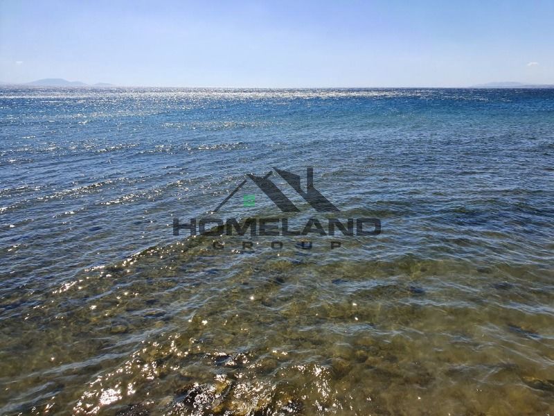 homelandgroup real estate agency