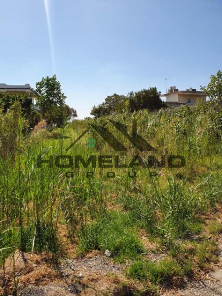 homelandgroup real estate agency