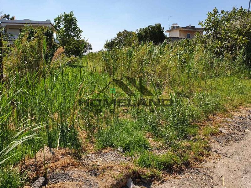 homelandgroup real estate agency