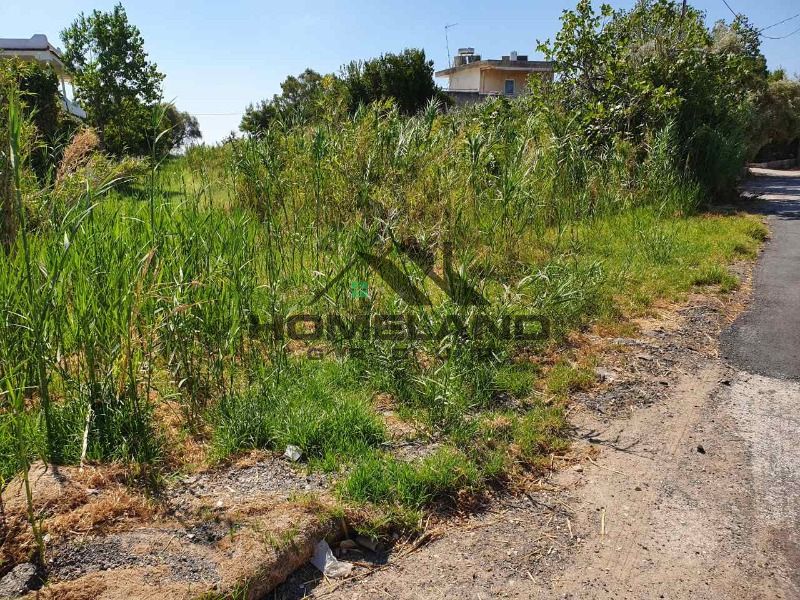 homelandgroup real estate agency