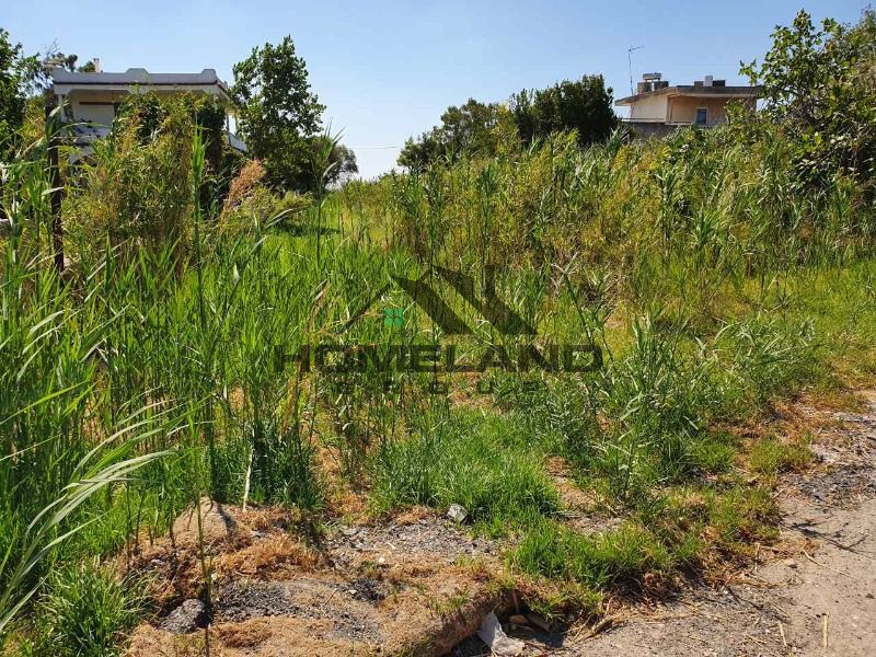 homelandgroup real estate agency